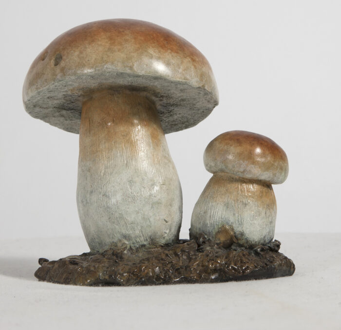 Living Art - Richard Smith - Cep Mushroom