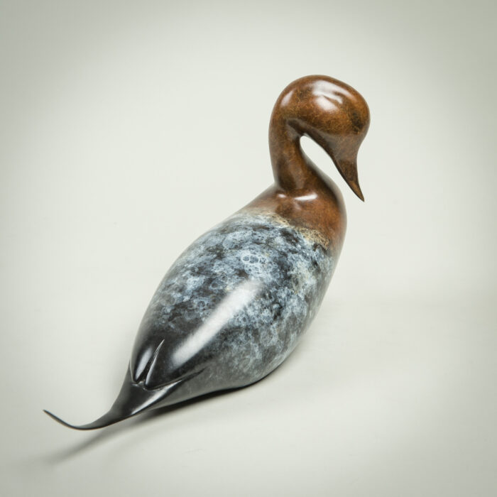 Living Art - Richard Smith - Pintail Duck