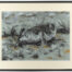 Living Art - Young Seal by Sally Newton