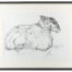 Living Art - Tisbury Sheep by Sally Newton