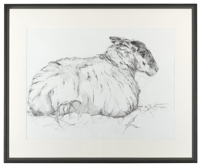 Living Art - Tisbury Sheep by Sally Newton