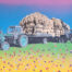 Living Art - Johnman - Make Hay yellow