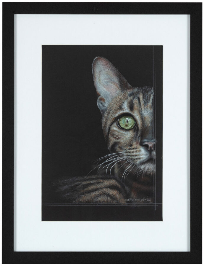 Living Art - Victoria Willcocks - Tabby Cat