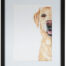 Living Art - Victoria Willcocks - Yellow Labrador