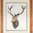 Living Art - Victoria Willcocks - Red Stag iii "Majestic"
