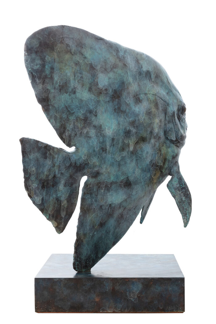 Living Art in Heddington - Longfin Batfish by Andrzej Szymczyk