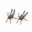 Living Art in Heddington - Grasshopper by J.K. Brown