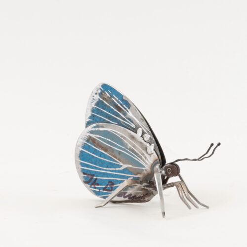 Living Art in Heddington - Holly Blue Butterfly by J.K. Brown
