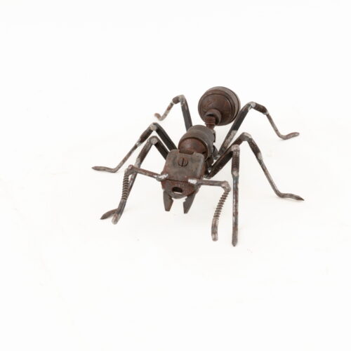 Living Art in Heddington - Ant Large by J.K. Brown