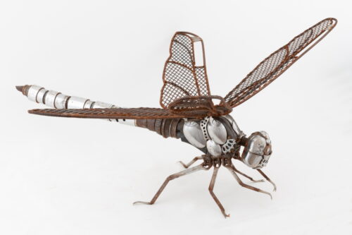 Living Art in Heddington - Dragonfly large by J.K. Brown